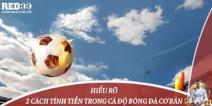 Hiểu Rõ 2 Cách Tính Tiền Trong Cá Độ Bóng Đá Cơ Bản