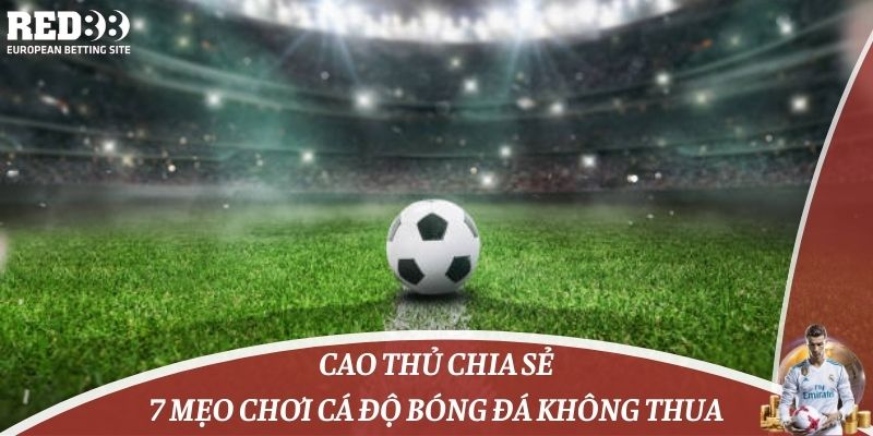 Cao Thủ Chia Sẻ 7 Mẹo Chơi Cá Độ Bóng Đá Không Thua